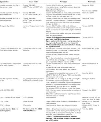 New Insights Into the Biology of Protein O-GlcNAcylation: Approaches and Observations